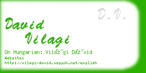 david vilagi business card